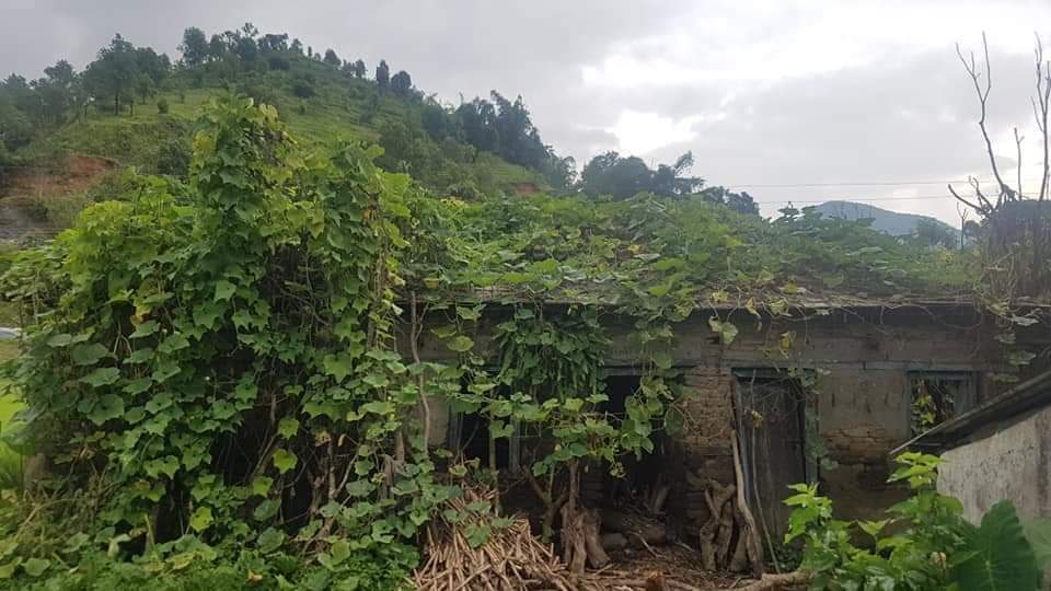 पुतलीबजारको ऐतिहासिक भवन जिर्ण अबस्थामा , संरक्षणमा कसैको चासो देखिएन