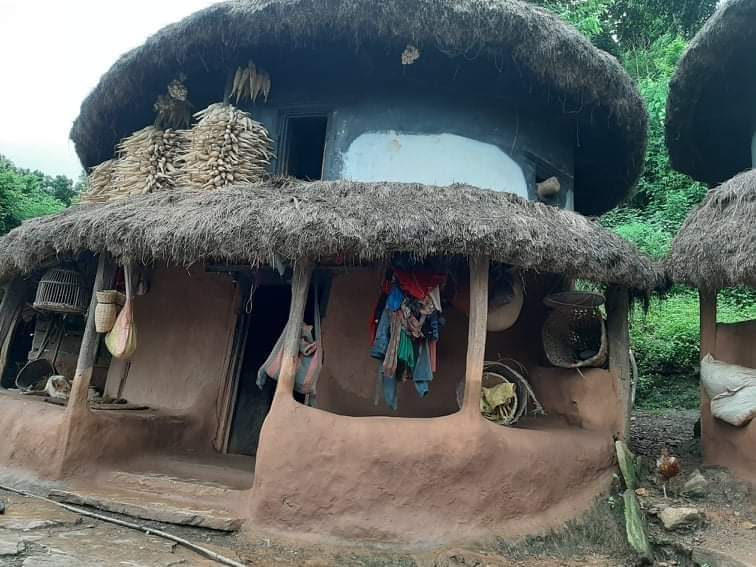 लोपोन्मुख कुडुले ( गोलो)  घर