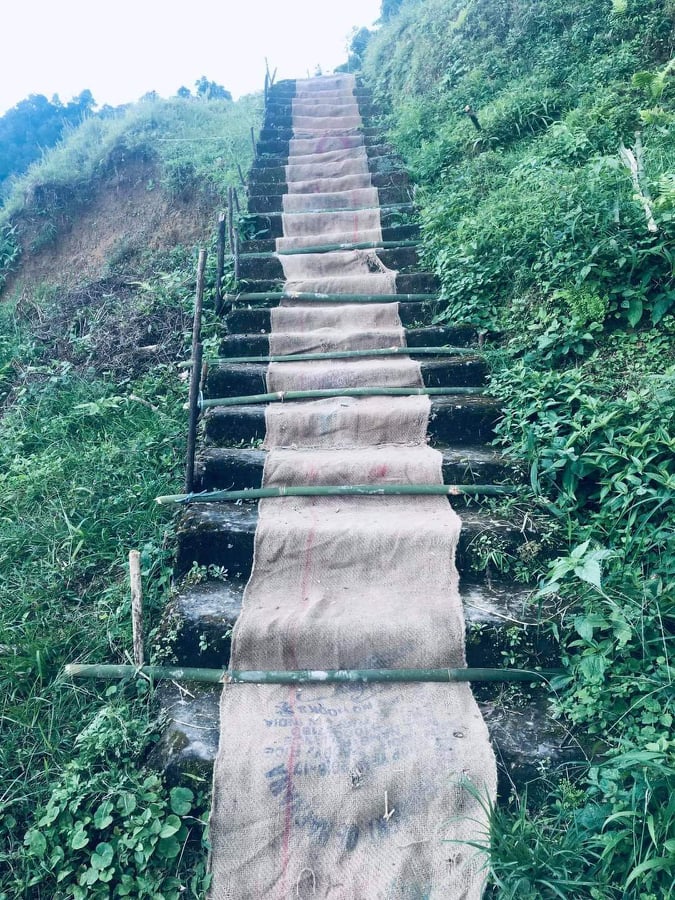 बालकल्याण प्रा.वि. काे चिफ्लाे सिडिमा राखेकाे बाेरा उदारणिय