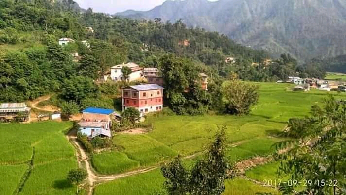 उद्बुद्ध कलेजमा  भाद्र २० बाट नियमित कक्षा संचालन हुने ।।