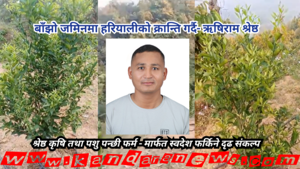 दोहाबाट गाउँसम्मको सपना : ५५ रोपनीमा अर्गानिक कृषि विस्तार गर्दै ऋषिराम श्रेष्ठ